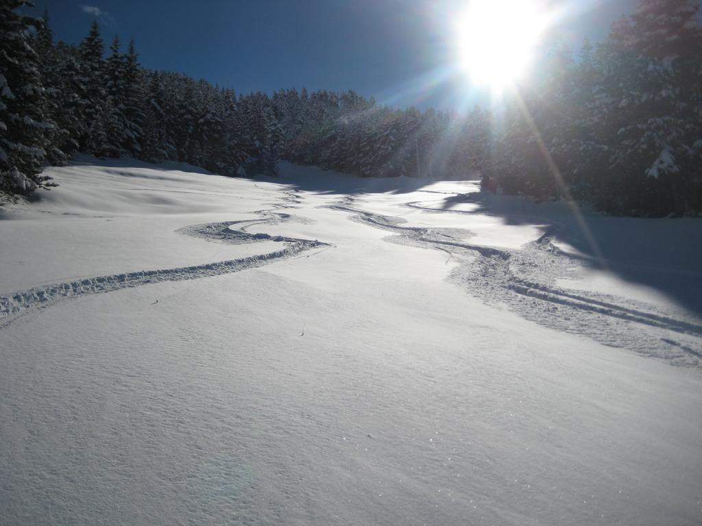 Mouli Del Riu Bed & Breakfast Saint Pierre dels Forcats Bagian luar foto